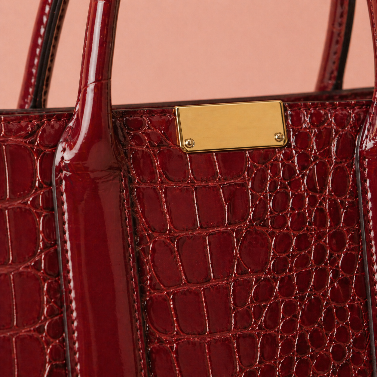 THE VIANNE BOLSO CROC